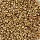 Miyuki delica beads 11/0 - Duracoat galvanized champagne DB-1834